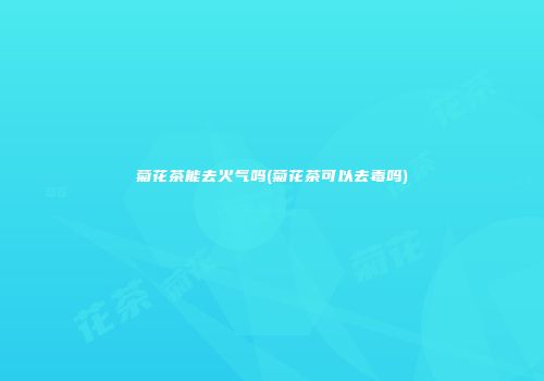 菊花茶能去火气吗(菊花茶可以去毒吗)