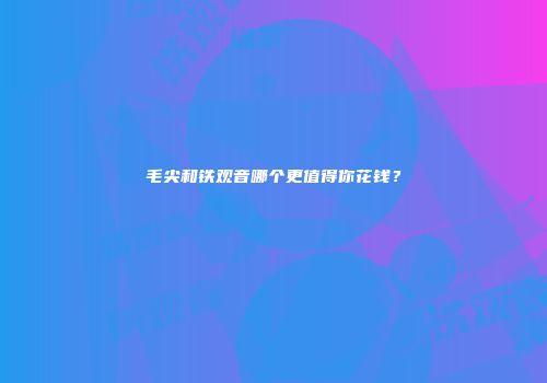 毛尖和铁观音哪个更值得你花钱？