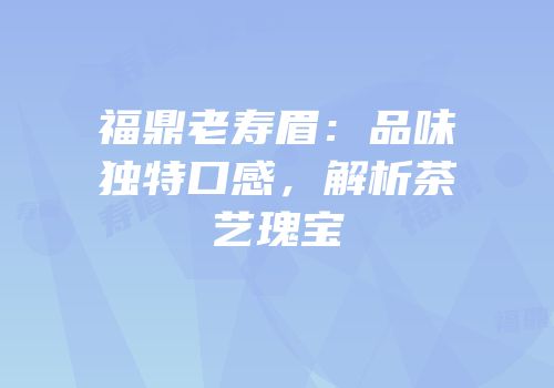 福鼎老寿眉：品味独特口感，解析茶艺瑰宝
