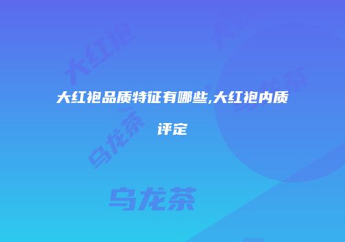 大红袍品质特征有哪些,大红袍内质评定