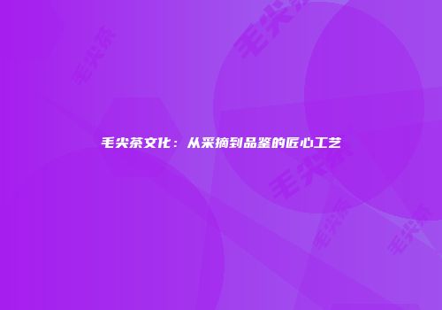 毛尖茶文化：从采摘到品鉴的匠心工艺