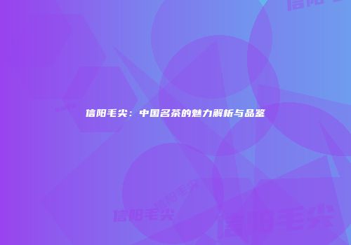 信阳毛尖：中国名茶的魅力解析与品鉴