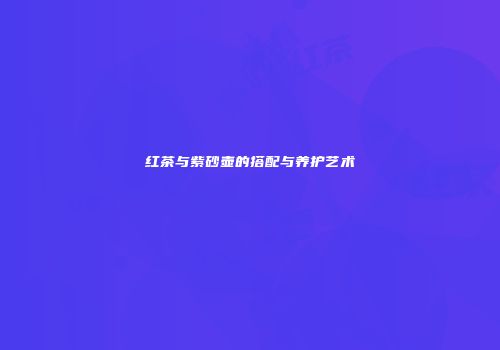 红茶与紫砂壶的搭配与养护艺术