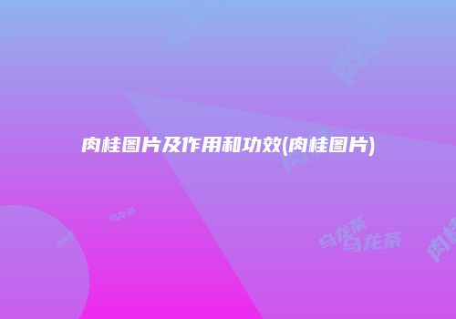 肉桂图片及作用和功效(肉桂图片)