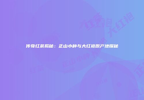 传奇红茶揭秘：正山小种与大红袍原产地探秘