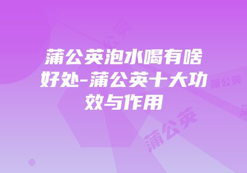 蒲公英泡水喝有啥好处-蒲公英十大功效与作用