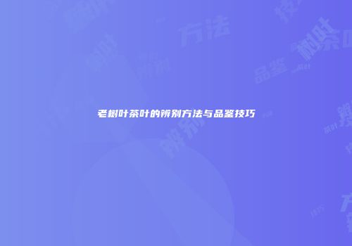 老树叶茶叶的辨别方法与品鉴技巧