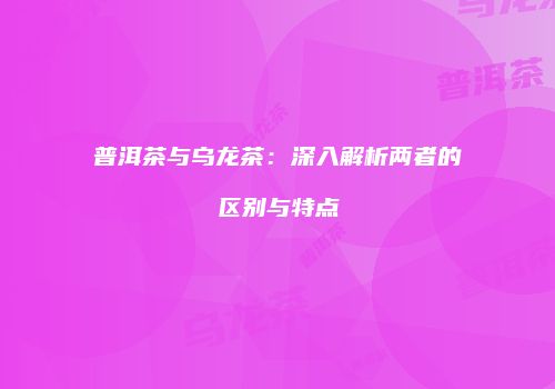 普洱茶与乌龙茶：深入解析两者的区别与特点