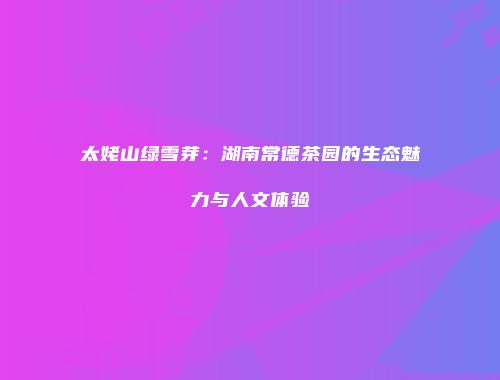 太姥山绿雪芽：湖南常德茶园的生态魅力与人文体验