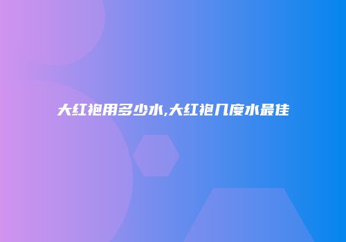 大红袍用多少水,大红袍几度水最佳