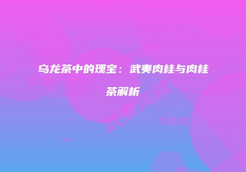 乌龙茶中的瑰宝：武夷肉桂与肉桂茶解析