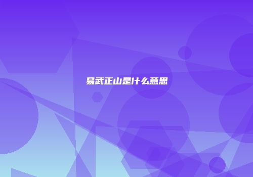 易武正山是什么意思