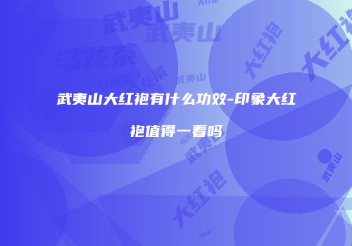 武夷山大红袍有什么功效-印象大红袍值得一看吗