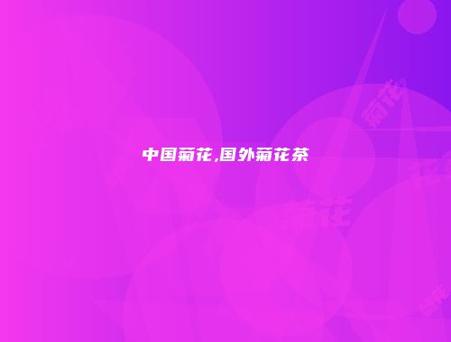 中国菊花,国外菊花茶