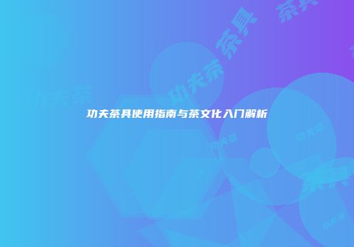 功夫茶具使用指南与茶文化入门解析
