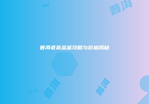 普洱老茶品鉴攻略与价格揭秘