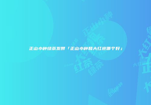 正山小种绿茶发酵「正山小种和大红袍哪个好」