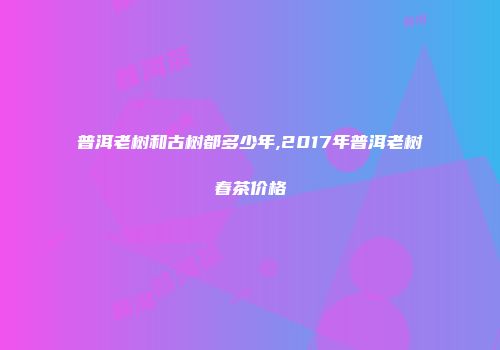 普洱老树和古树都多少年,2017年普洱老树春茶价格