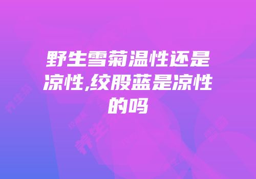 野生雪菊温性还是凉性,绞股蓝是凉性的吗
