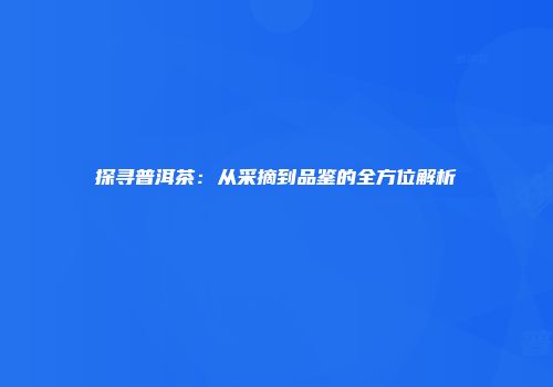 探寻普洱茶：从采摘到品鉴的全方位解析