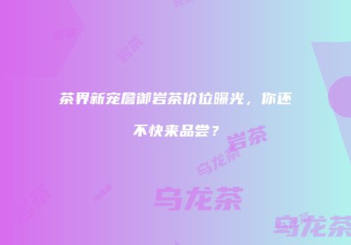 茶界新宠詹御岩茶价位曝光，你还不快来品尝？