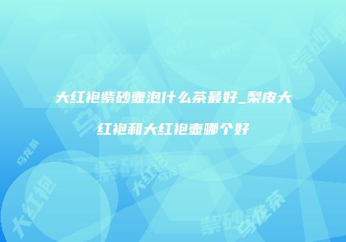 大红袍紫砂壶泡什么茶最好_梨皮大红袍和大红袍壶哪个好