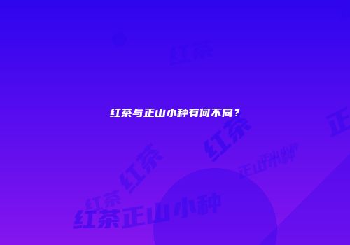 红茶与正山小种有何不同？