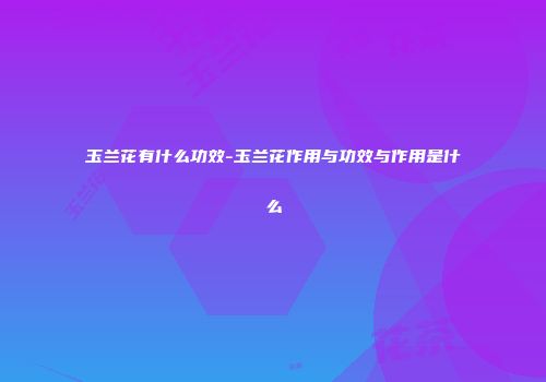 玉兰花有什么功效-玉兰花作用与功效与作用是什么