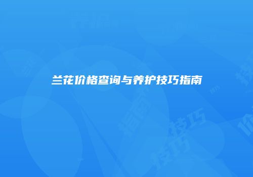 兰花价格查询与养护技巧指南
