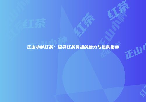 正山小种红茶：探寻红茶鼻祖的魅力与选购指南