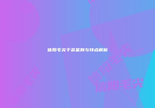 信阳毛尖干茶鉴别与特点解析