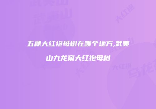 五棵大红袍母树在哪个地方,武夷山九龙窠大红袍母树