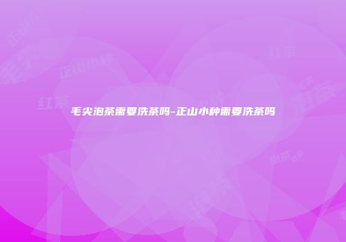 毛尖泡茶需要洗茶吗-正山小种需要洗茶吗