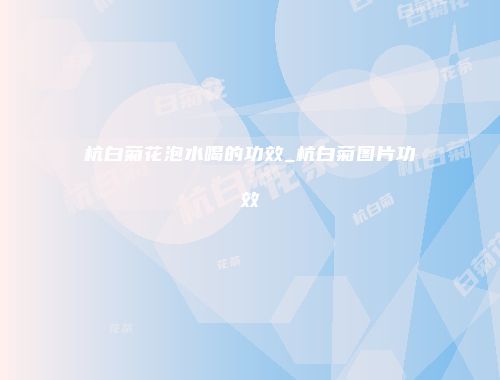 杭白菊花泡水喝的功效_杭白菊图片功效