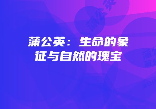 蒲公英：生命的象征与自然的瑰宝