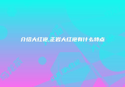 介绍大红袍,正岩大红袍有什么特点