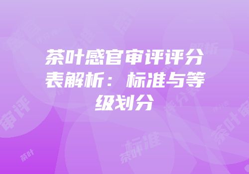 茶叶感官审评评分表解析：标准与等级划分