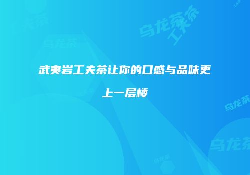 武夷岩工夫茶让你的口感与品味更上一层楼