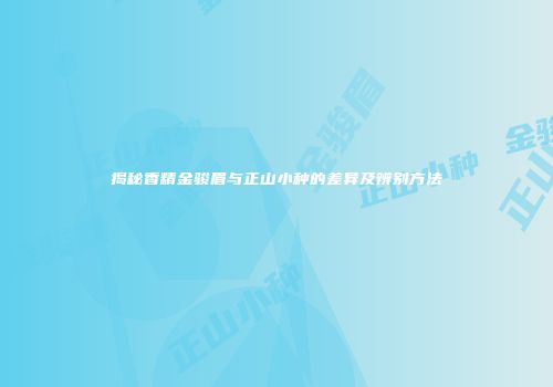 揭秘香精金骏眉与正山小种的差异及辨别方法