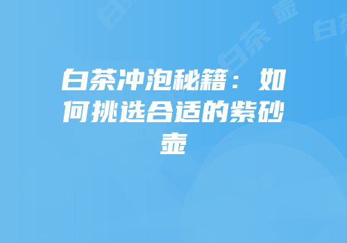 白茶冲泡秘籍：如何挑选合适的紫砂壶