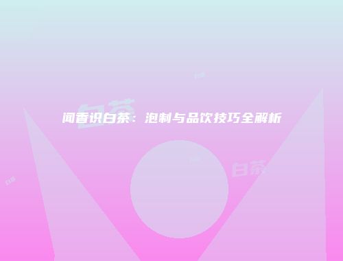 闻香识白茶：泡制与品饮技巧全解析
