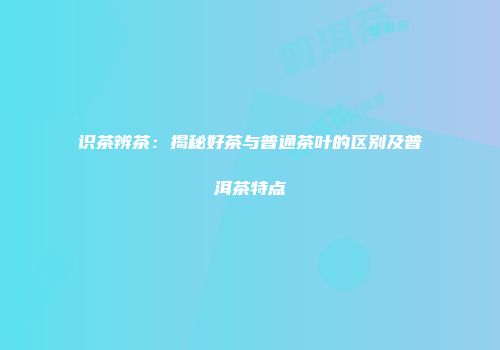 识茶辨茶：揭秘好茶与普通茶叶的区别及普洱茶特点