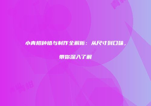 小青柑种植与制作全解析：从尺寸到口味，带你深入了解