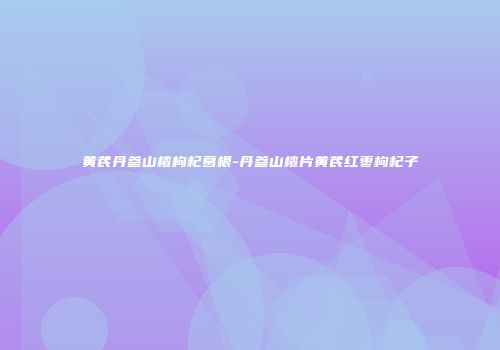 黄芪丹参山楂枸杞葛根-丹参山楂片黄芪红枣枸杞子