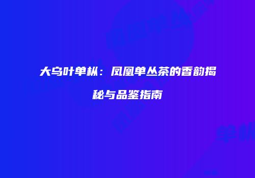 大乌叶单枞：凤凰单丛茶的香韵揭秘与品鉴指南