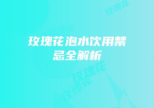玫瑰花泡水饮用禁忌全解析