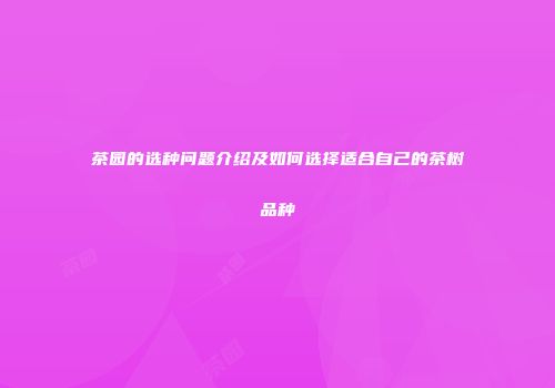 茶园的选种问题介绍及如何选择适合自己的茶树品种