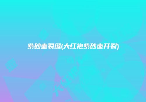 紫砂壶裂缝(大红袍紫砂壶开裂)