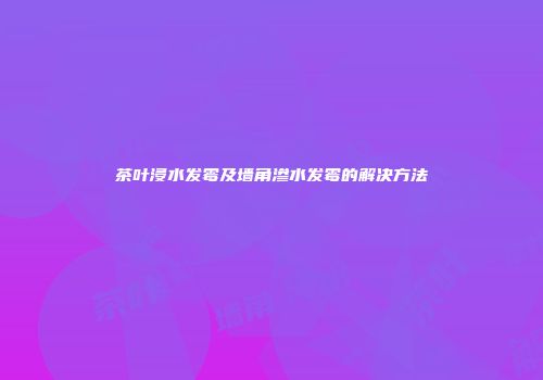 茶叶浸水发霉及墙角渗水发霉的解决方法