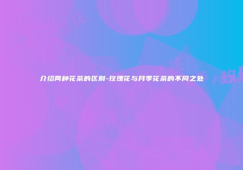 介绍两种花茶的区别-玫瑰花与月季花茶的不同之处